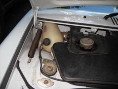 IMG_2517.jpg